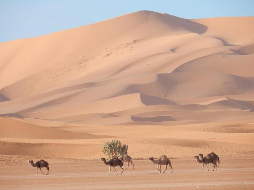 Auberge Sahara Garden Lac Yasmins Bagian luar foto